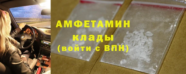 твердый Вяземский