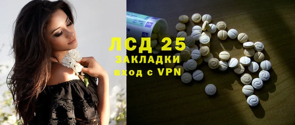 твердый Вяземский