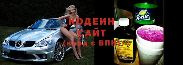 твердый Вяземский