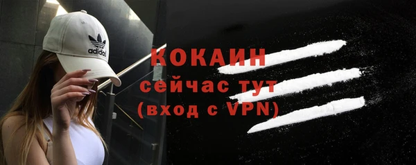 твердый Вяземский