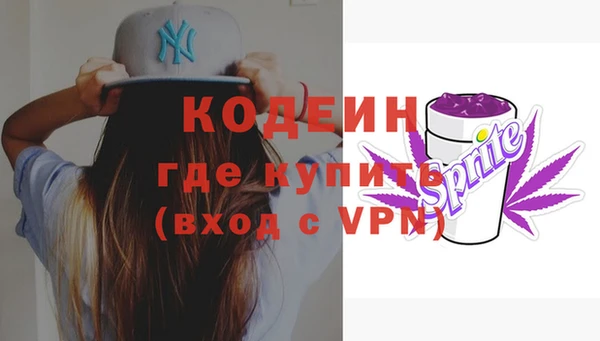твердый Вяземский