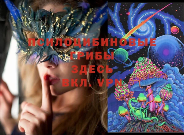 молекула духа Вязьма