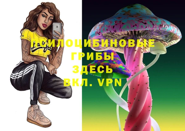 молекула духа Вязьма