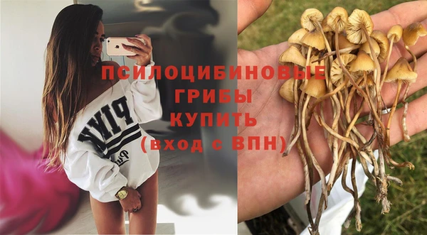 дурь Вязники