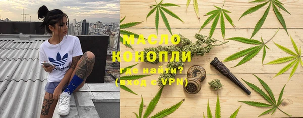 молекула духа Вязьма
