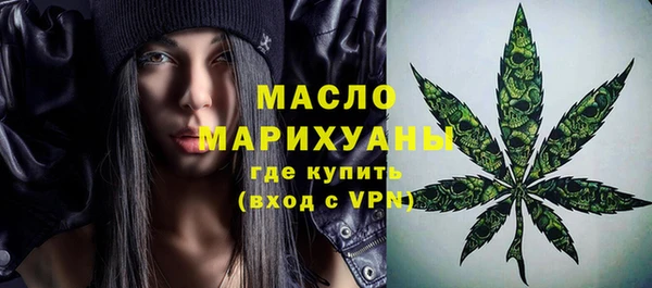 твердый Вяземский