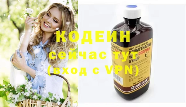 молекула духа Вязьма