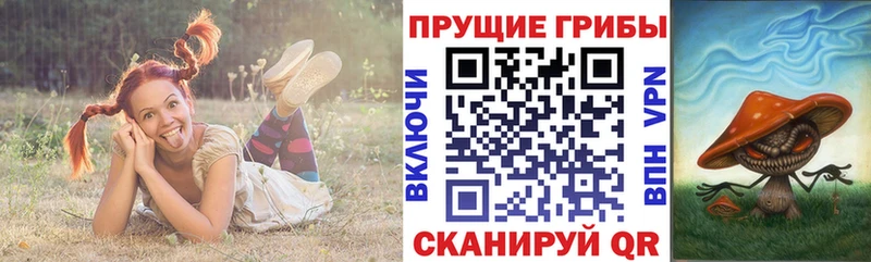 ОМГ ОМГ ссылка  Чебоксары  Галлюциногенные грибы прущие грибы  купить наркотики сайты 